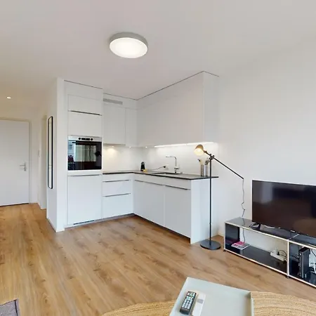 Bright & Modern In Apartment Sion